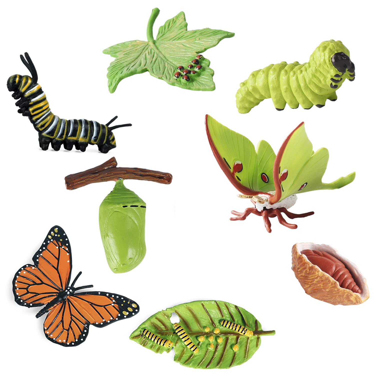 iftnotea 8PCS Monarch Butterflies Life Cycle Toy Figurines for Kids with Actias Ningpoana Figure - Caterpillar to Butterfly Kit Growth Montessori Toy for 3 4 5 6 Years Old