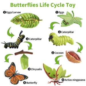 iftnotea 8PCS Monarch Butterflies Life Cycle Toy Figurines for Kids with Actias Ningpoana Figure - Caterpillar to Butterfly Kit Growth Montessori Toy for 3 4 5 6 Years Old