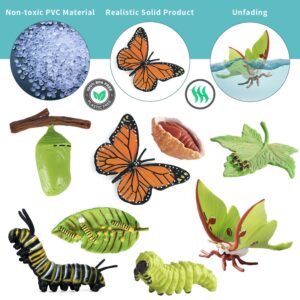 iftnotea 8PCS Monarch Butterflies Life Cycle Toy Figurines for Kids with Actias Ningpoana Figure - Caterpillar to Butterfly Kit Growth Montessori Toy for 3 4 5 6 Years Old