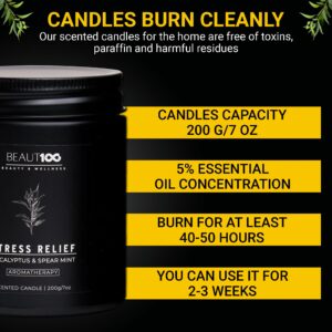 BEAUT100 Stress Relief Candle | Scented Candles for Men & Women | Aromatherapy Candle, Long Lasting Relax Soy Candles for Home | Candles Gift for Women & Men.