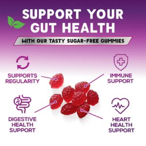 Sugar Free Fiber Gummies for Adults, Daily Prebiotic Fiber Supplement & Digestive Health Support - Supports Regularity & Digestive Health, Nature's Plant Based, Non-GMO, Berry Flavor - 120 Gummies