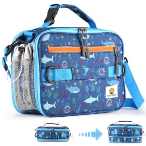 cactour insulated lunch bag,expandable kids lunch box,double zipper & lunch bag kids with strap,lightweight reusable lunch tote bag for boys girls,meal containers for school/picnic (shark)