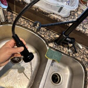 Glacier Bay Paulina Single-Handle Spring Neck Pull Down Sprayer Kitchen Faucet in Matte Black