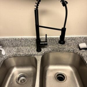 Glacier Bay Paulina Single-Handle Spring Neck Pull Down Sprayer Kitchen Faucet in Matte Black