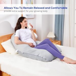 Sasttie Pregnancy Pillows for Sleeping, U Shaped Body Pillow Side Sleeper Pregnancy Must Haves, Maternity Pillow for Pregnant Women, Full Pregnant Pillow with Removable Velvet Cover, Grey