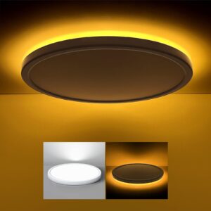 matane 12 inch led flush mount ceiling light fixture with night light, 24w 2400lm 3000k/4000k/5000k selectable, dimmable led ceiling lights for bedroom, dining room, kitchen, round white