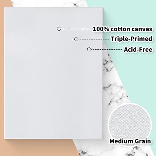 Thenshop Stretched Canvas for Painting 10 oz Triple Primed 100% Cotton White Blank Canvas Bulk Art Canvases for Painting Oil Paint Acrylics Pouring (8 x 10 Inch,40 Pieces)