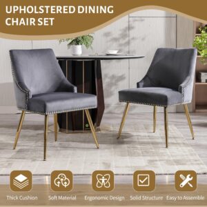 KCC Velvet Dining Room Chairs Set of 6 Nailhead Back Ring Pull Trim with Gold Legs for Kitchen Living room(Grey)