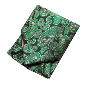 Hi-Tie Green Black Paisley Ascot Ties Formal Cravat Lapel Pin Pocket Square Cufflinks Scarf Wedding Dress Tuxedo