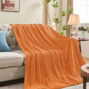 inhand Fall Throw Blanket, Super Soft Fuzzy Blanket for Couch Sofa Bed Office, Cozy Plush Fleece Blanket Throw Size, Washable Lightweight Flannel Blankets Throw for All Season(50”x60”,Rust)