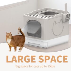 All for Paws Foldable Cat Litter Box Enclosed Top Entry Litter Box with Lid for Large Cats Mess Proof Design with Handy Litter Scoop