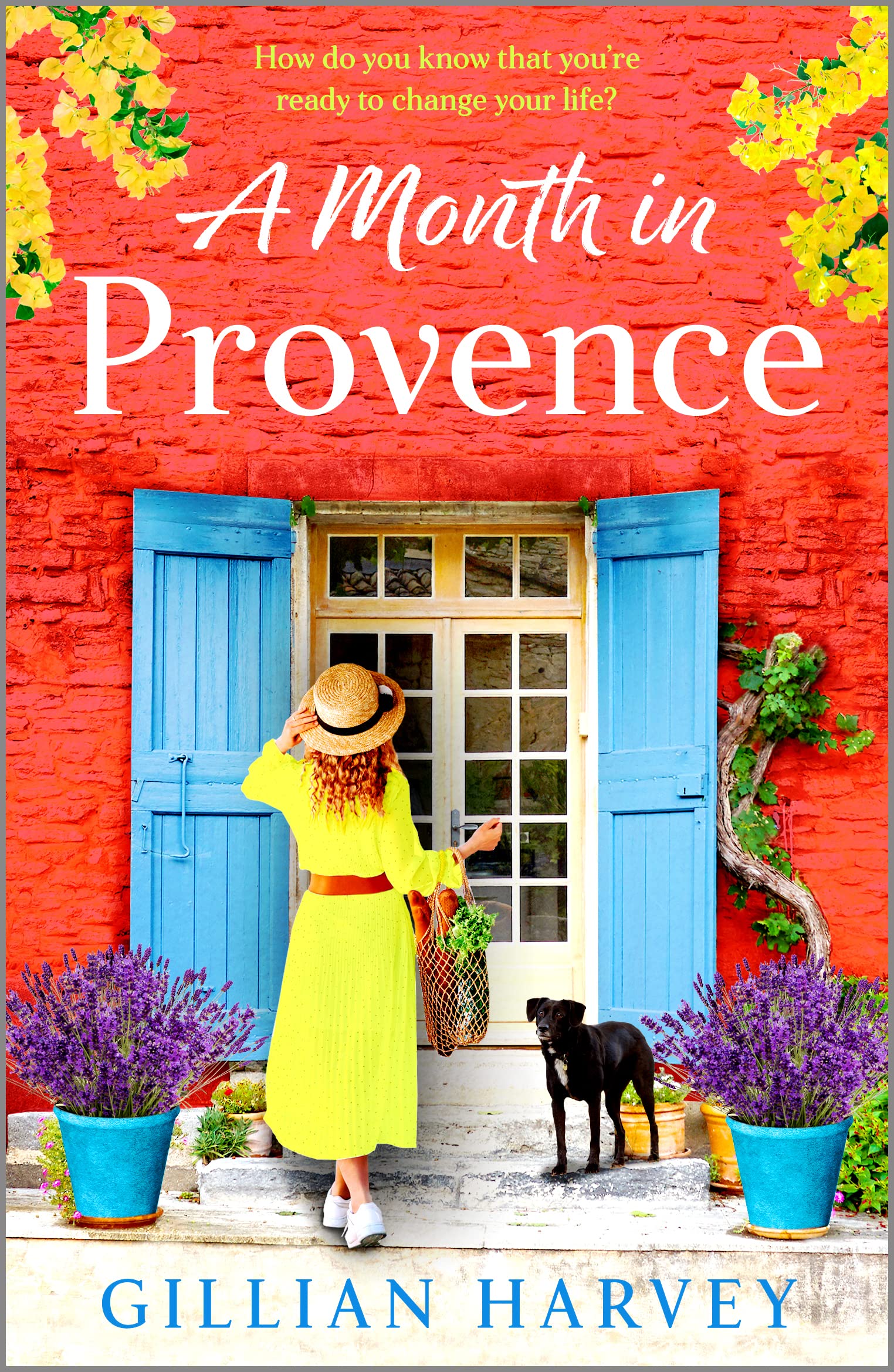 A Month in Provence: An escapist feel-good romance from Gillian Harvey