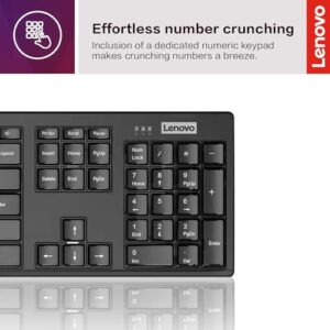 Lenovo – Wireless Compact Keyboard– 100 Cordless Keyboard for PC, Laptop with Windows – Cordless Connection – Silent Key Clicks, Black