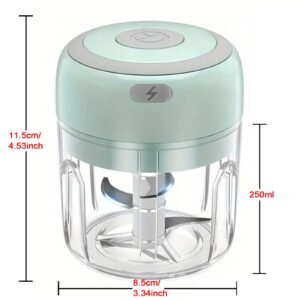 Electric Mini Vegetable Chopper, Food Chopper, Garlic Slicer Veggie, Salad, Lettuce, Onion, Chili Crusher, Tomato Dicer Chopper Cutter & Ginger Meat Mincer for Kitchen, Portable USB Chopper (250ML)