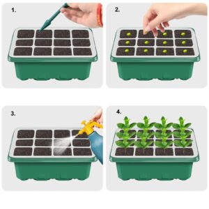 NBPLUS Seed Starter Tray with Grow Light, 5 Pack 60 Cells Seed Starter kit with Humidity Dome and Base, Plant Seedling Trays Indoor Greenhouse Gardening (Green 5 Pack)