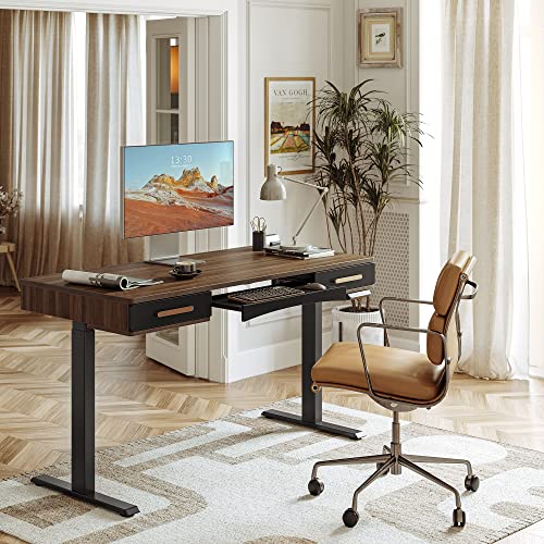 FEZIBO Standing Desk with Drawers, 48" x 26" Vintage Adjustable Standing Desk, Sit Stand Up Desk, Adjustable Height Home Office Desk, Mid-Century Executive President Office Desk