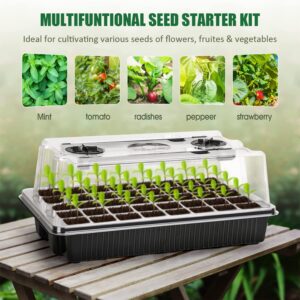 Carzos Seed Starter Tray Kit with Grow Lights, 1 Pack 40 Cells Seed Trays with Humidity Dome, Mini Greenhouse for Seeds Growing Starting Sprouting Germination