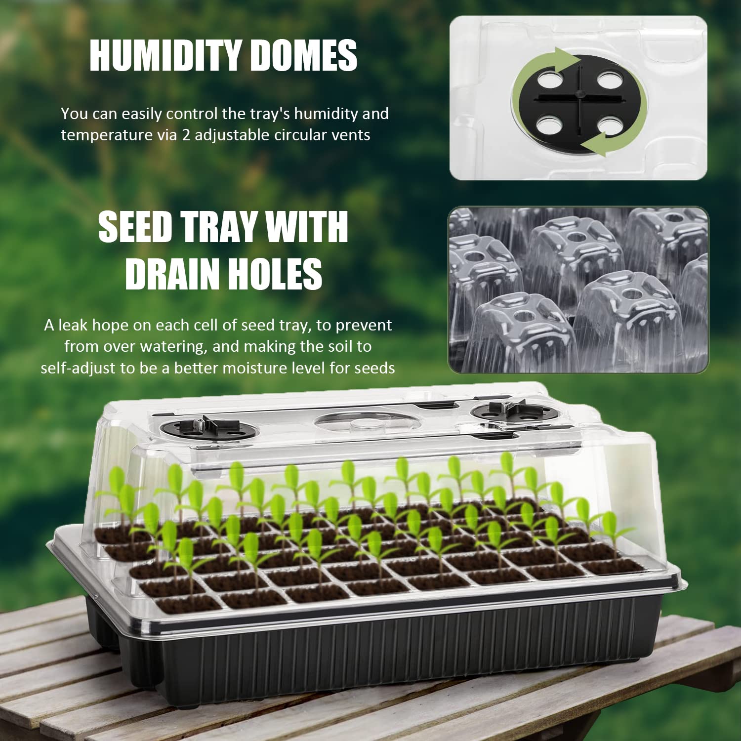 Carzos Seed Starter Tray Kit with Grow Lights, 1 Pack 40 Cells Seed Trays with Humidity Dome, Mini Greenhouse for Seeds Growing Starting Sprouting Germination