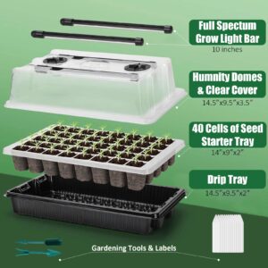 Carzos Seed Starter Tray Kit with Grow Lights, 1 Pack 40 Cells Seed Trays with Humidity Dome, Mini Greenhouse for Seeds Growing Starting Sprouting Germination