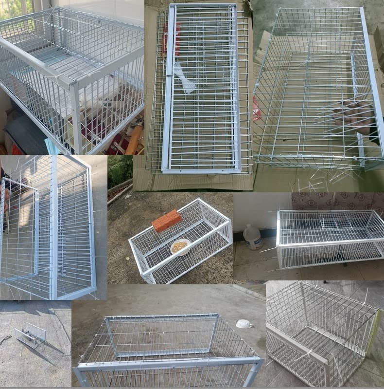 Andowns Big Foldable Galvanised Pigeon Dove Bird Trap Cage Feral Pigeon Humane Way with The one-Way Entrance Trapping Pigeons Doves in Cages 1 (40x30x26cm / 17x13x10inch 4 Entrances)