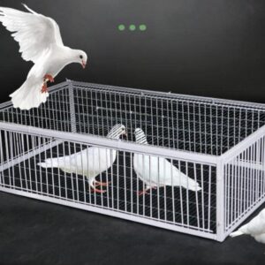 Andowns Big Foldable Galvanised Pigeon Dove Bird Trap Cage Feral Pigeon Humane Way with The one-Way Entrance Trapping Pigeons Doves in Cages 1 (40x30x26cm / 17x13x10inch 4 Entrances)