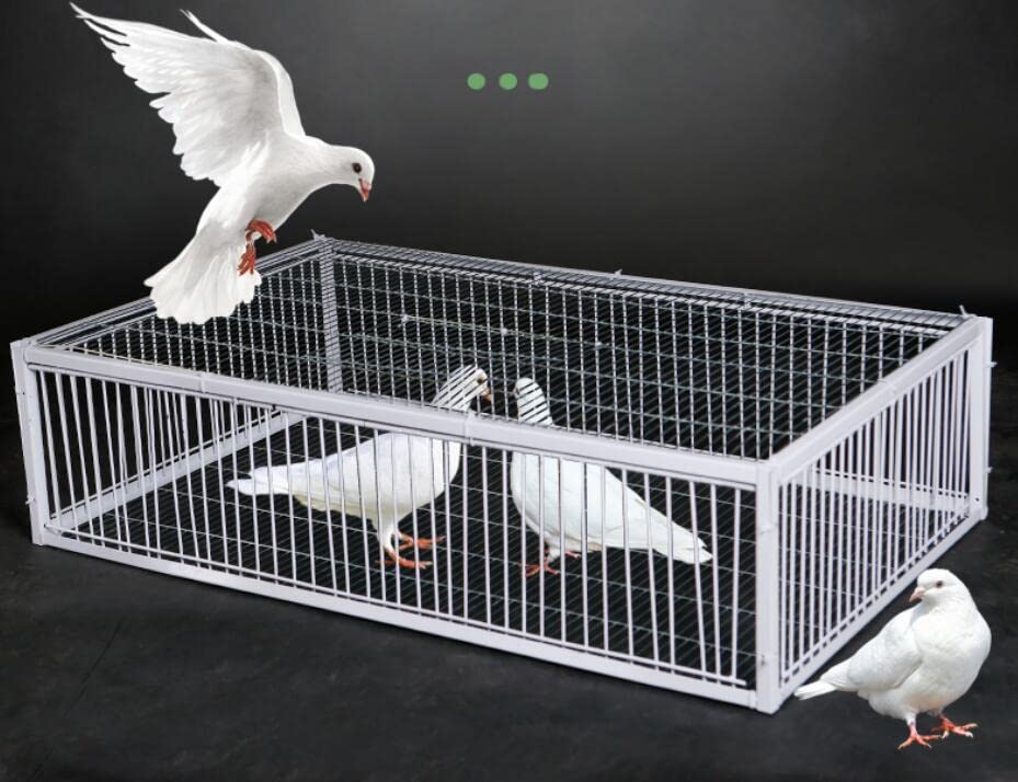 Andowns Big Foldable Galvanised Pigeon Dove Bird Trap Cage Feral Pigeon Humane Way with The one-Way Entrance Trapping Pigeons Doves in Cages 1 (40x30x26cm / 17x13x10inch 4 Entrances)