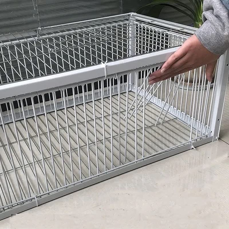 Andowns Big Foldable Galvanised Pigeon Dove Bird Trap Cage Feral Pigeon Humane Way with The one-Way Entrance Trapping Pigeons Doves in Cages 1 (40x30x26cm / 17x13x10inch 4 Entrances)