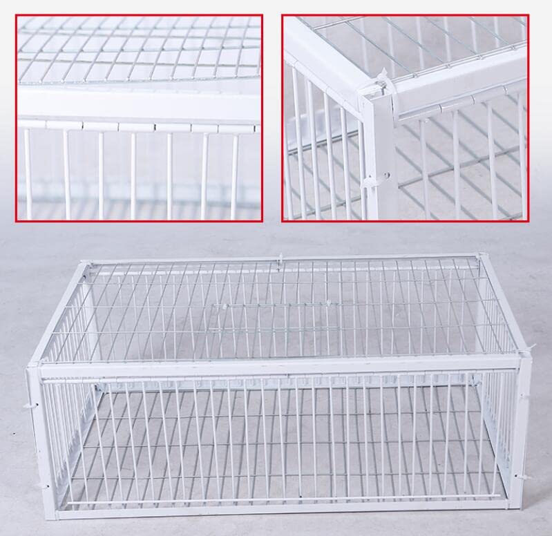 Andowns Big Foldable Galvanised Pigeon Dove Bird Trap Cage Feral Pigeon Humane Way with The one-Way Entrance Trapping Pigeons Doves in Cages 1 (40x30x26cm / 17x13x10inch 4 Entrances)