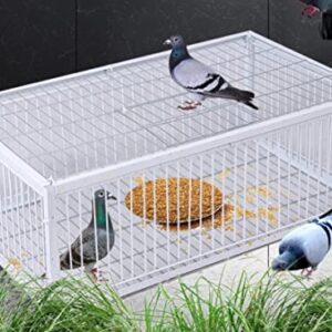 Andowns Big Foldable Galvanised Pigeon Dove Bird Trap Cage Feral Pigeon Humane Way with The one-Way Entrance Trapping Pigeons Doves in Cages 1 (40x30x26cm / 17x13x10inch 4 Entrances)