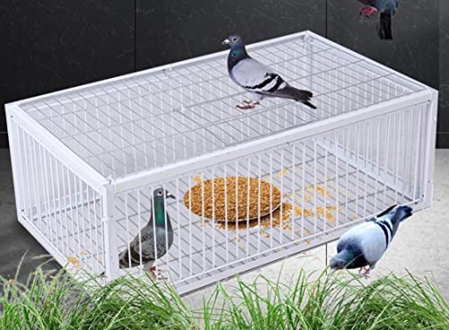 Andowns Big Foldable Galvanised Pigeon Dove Bird Trap Cage Feral Pigeon Humane Way with The one-Way Entrance Trapping Pigeons Doves in Cages 1 (40x30x26cm / 17x13x10inch 4 Entrances)