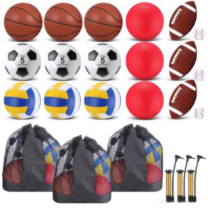 Leyndo 18 Pcs Bulk Sport Balls Set Basketball Football Volleyball Soccer Playground Ball Baseball Outdoor Sport Equipment Full Size with Sports Ball Bag Pump for Youth Adults Kids Sport Gift (Brown)