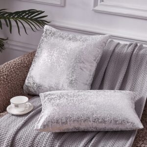 Silver Throw Pillows,Set of 2 White Cushion Covers Velvet Decorative Square Throw Pillow Covers with Silver for Home Decor Bedroom Living Room Couch Bed Sofa, 20x20 In,White and Silver Pillow Covers