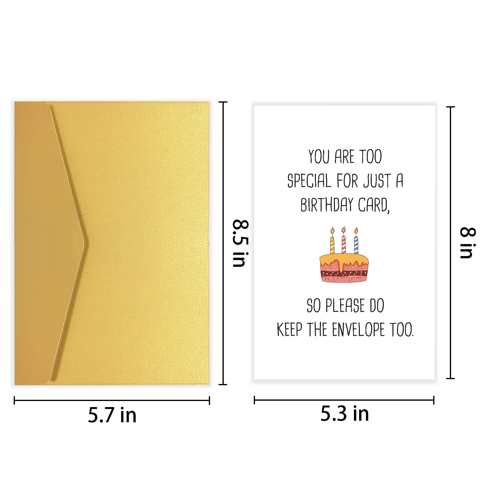 Snarky Birthday Card for Friends, Funny Birthday Card Gift for Him Her, Rude Birthday Card, You Are Too Special for Just A Birthday Card