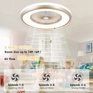 HUMHOLD 24" Low Profile Ceiling Fan with 3-Dimmable Light, Flush Mount Ceiling Fan Lighting Remote & APP Control, 6 Speeds Timing Reversible Blades, Smart Enclosed Ceiling Fan for Bedroom Gold