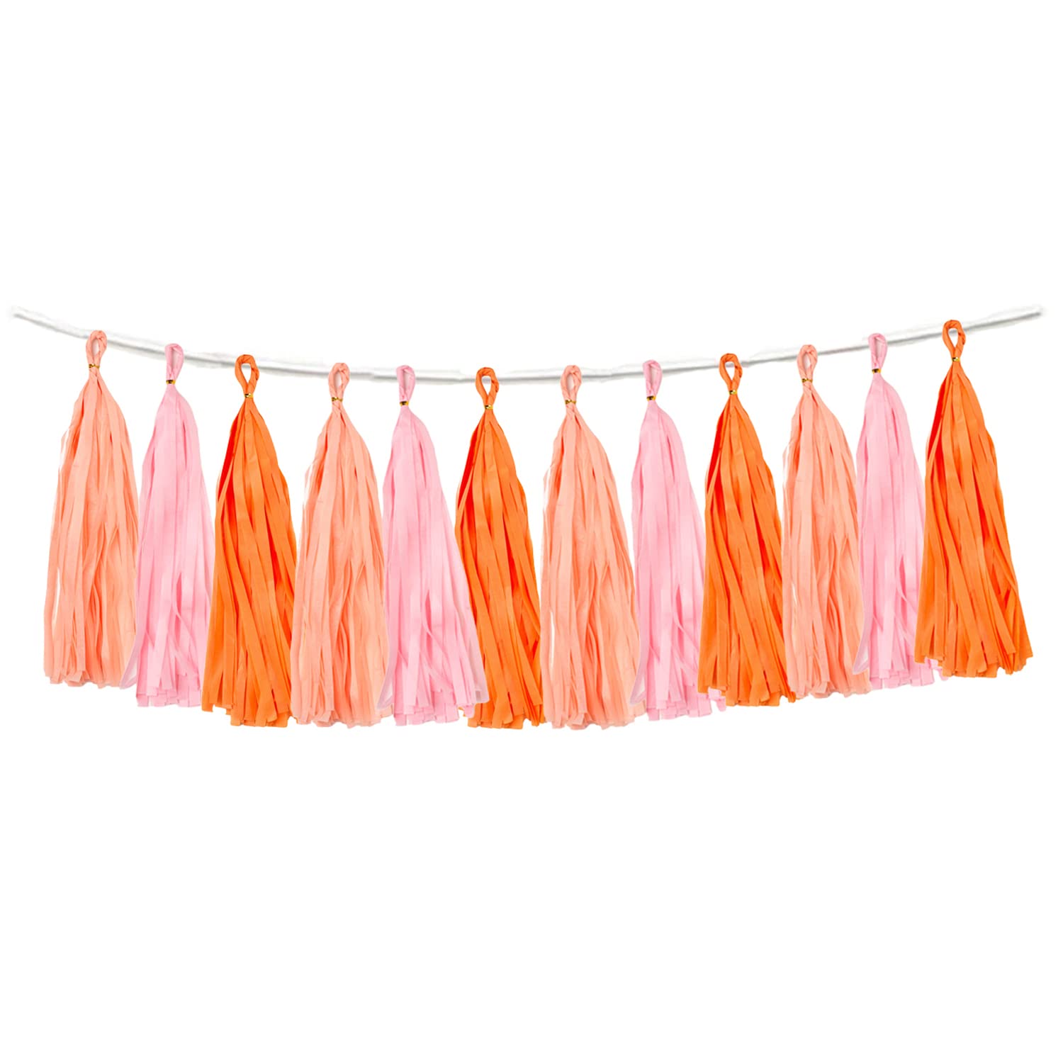 15PCS Pink Orange Peach DIY Tissue Tassel Garland Groovy Retro Party Tassel Banner Bunting Streamer for Girl Baby Shower Groovy Halloween Birthday Bridal Shower Nursery Classroom Wall Hanging Décor