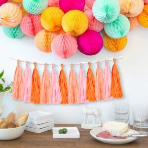 15PCS Pink Orange Peach DIY Tissue Tassel Garland Groovy Retro Party Tassel Banner Bunting Streamer for Girl Baby Shower Groovy Halloween Birthday Bridal Shower Nursery Classroom Wall Hanging Décor