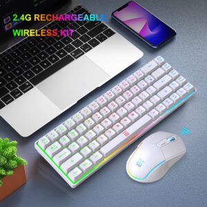 Snpurdiri 60% Wireless Gaming Keyboard and Mouse Combo,LED Backlit Rechargeable 2000mAh Battery,Mini Mechanical Feel Anti-ghosting Keyboard +Popular RGB Gaming Mice for PC Gamer (White)