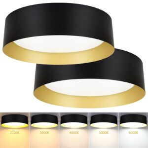 Flush Mount Ceiling Lights, 25W LED Ceiling Light Fixtures 300W Equivalent 2600LM 5CCT Adjustable Modern Black and Gold Flush Mount Light Fixture Dimmable Ceiling Lamps for Bathroom Hallway Bedroom