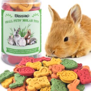 Bissap 32PCS Bunny Chew Toys, Mixed Natural Timothy Hay Pumpkin Strawberry Carrot Chinchillas Chewing Toys and Treats for Rabbit Bunny Guinea Pig Hamster Gerbil and Other Small Animals Molar Snacks