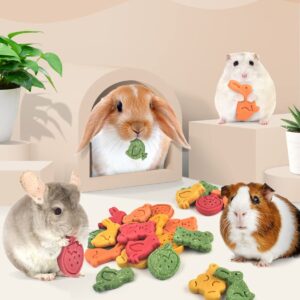 Bissap 32PCS Bunny Chew Toys, Mixed Natural Timothy Hay Pumpkin Strawberry Carrot Chinchillas Chewing Toys and Treats for Rabbit Bunny Guinea Pig Hamster Gerbil and Other Small Animals Molar Snacks