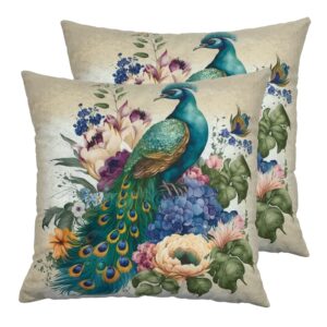 Deco4URLife Watercolor Peacock Vintage Background Set of 2 Decorative Throw Pillow Covers Square 18 x 18 inch, PillowCase Protectors Cushion Cover for Home Sofa Couch Chair Back Seat