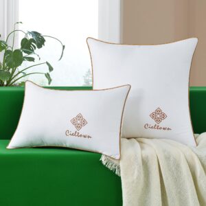 Cieltown Throw Pillows for Couch 12x20 Pillow Inserts Set of 2 White Euro Square Decorative Pillows for Bed Sofa Living Room Cojines Decorativos para Sala Cama (Champagne, 12 x 20 Inch Pack of 2)