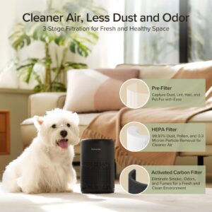 Air Purifiers for Bedroom, HEPA Air Purifiers, Air Cleaner for Smoke A11ergies Dander Hair Odor, Portable Air Purifier with Fragrance Sponge Sleep Mode Speed Control - AC300 Black