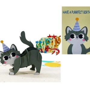 ETA 3D Funny Cat Birthday Pop Up Cards, 3D Animal Pop Up Card for Kids,Girls, Daughters, Niece, Grandchild on Birthday, Have a Purrfect Birthday Card, B27