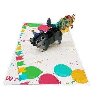 ETA 3D Funny Cat Birthday Pop Up Cards, 3D Animal Pop Up Card for Kids,Girls, Daughters, Niece, Grandchild on Birthday, Have a Purrfect Birthday Card, B27