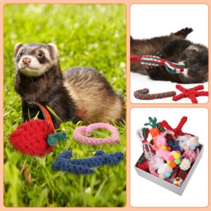 Sotiff 15 Pcs Ferret Toys Include 8 Ferret Rope Chew Toys and 7 Ferret Ball with Bell Toys for Guinea Pigs, Ferret Cage Accessories Durable Knotted Rope Tug Colorful Pompom Balls Interactive Sound Toy