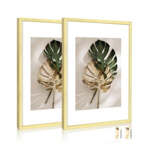 ccdcc 11x14 Aluminum Picture Frame Set of 2, Displays 8x10 Picture with Mat or 11x14 Poster without Mat, Metal Wall Gallery Photo Frame - Gold