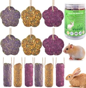 bissap 12pcs rabbit chew sticks, hanging chew sticks & cakes timothy hay carrot strawberry treat for bunny chinchilla guinea pig hamster and other small pets molar snack toy