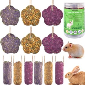 Bissap 12PCS Rabbit Chew Sticks, Hanging Chew Sticks & Cakes Timothy Hay Carrot Strawberry Treat for Bunny Chinchilla Guinea Pig Hamster and Other Small Pets Molar Snack Toy