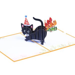 NAVWOD 3D Cat Farting Confetti Funny Birthday Card, Pop Up Birthday Card, Funny Birthday Card for Men, Women, Funny Birthday Cards for Husband, Wife, Friend, Mom, Dad and Every Cat Lover.